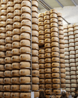 Parmesan Cheese Factory near Modena: Tasting & Tour