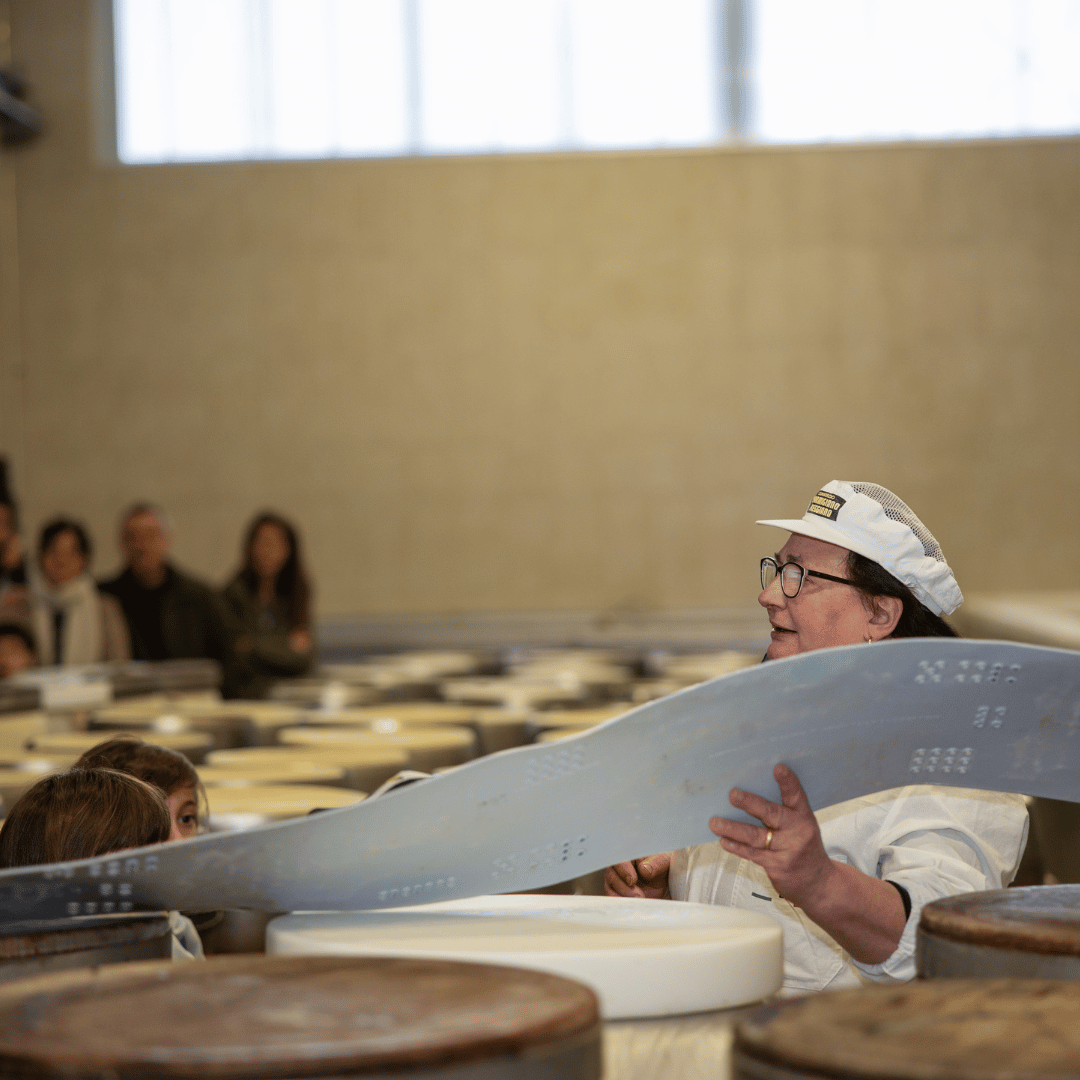 Parmesan Cheese Factory near Modena: Tasting &amp; Tour