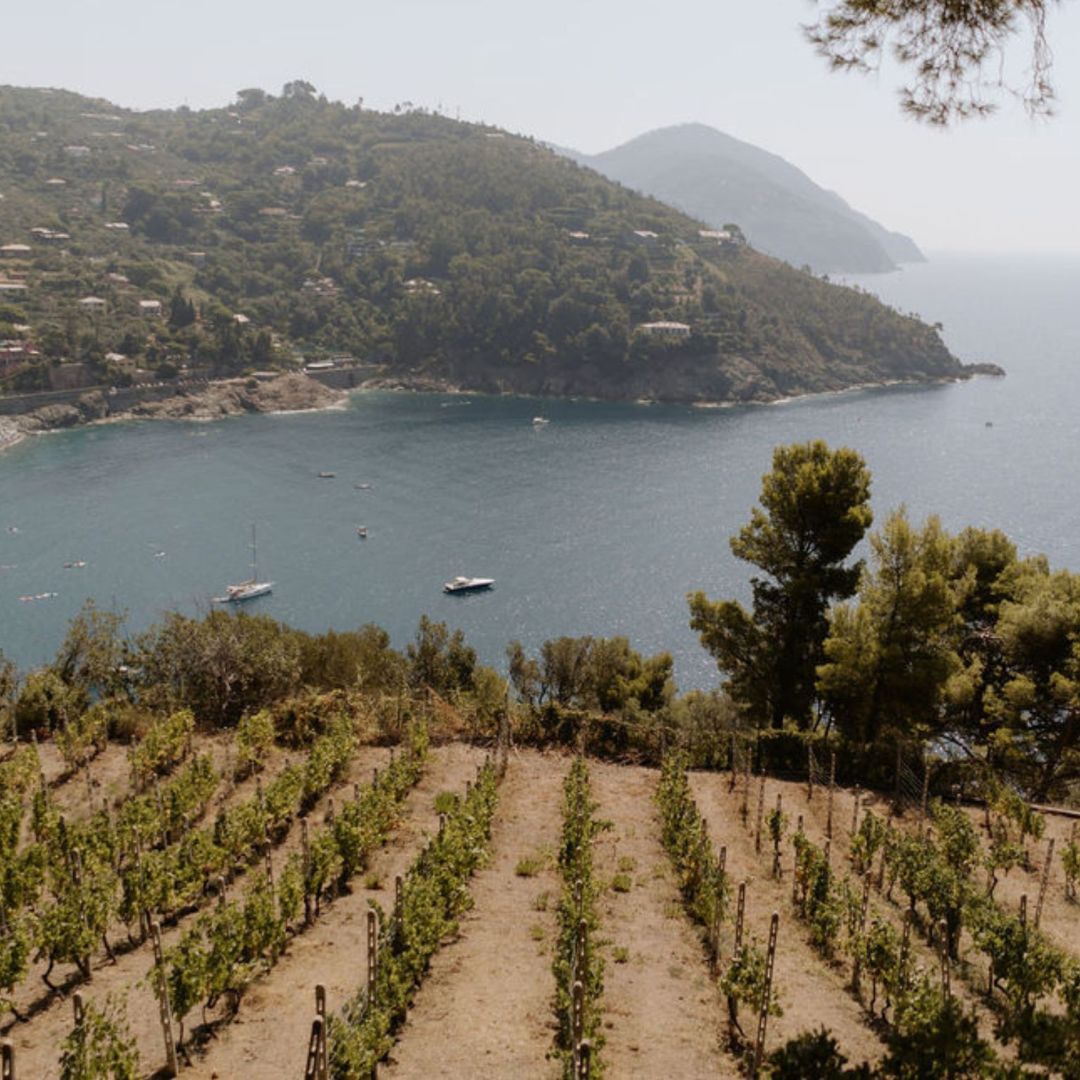 Boutique Winery Visit with Food & Wine Tastings in Cinque Terre