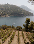 Boutique Winery Visit with Food & Wine Tastings in Cinque Terre