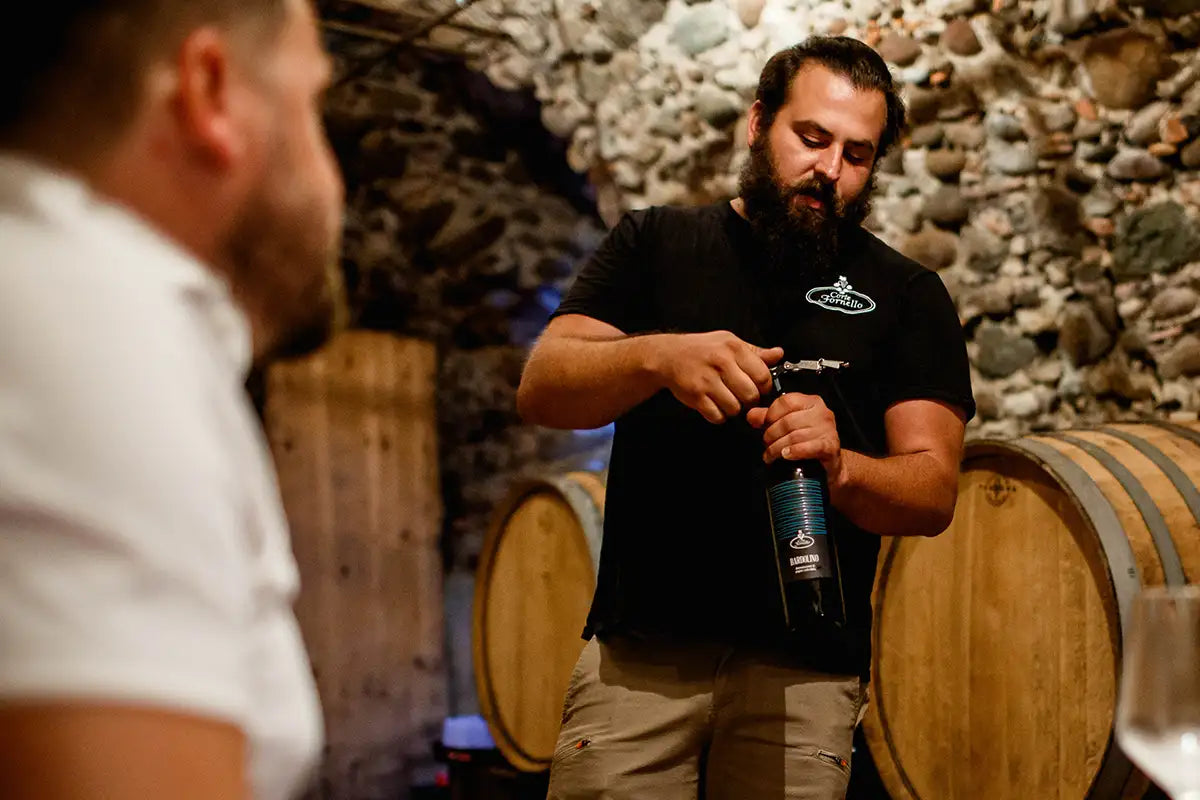 Tour and tasting of barrel aged-wines in Valeggio