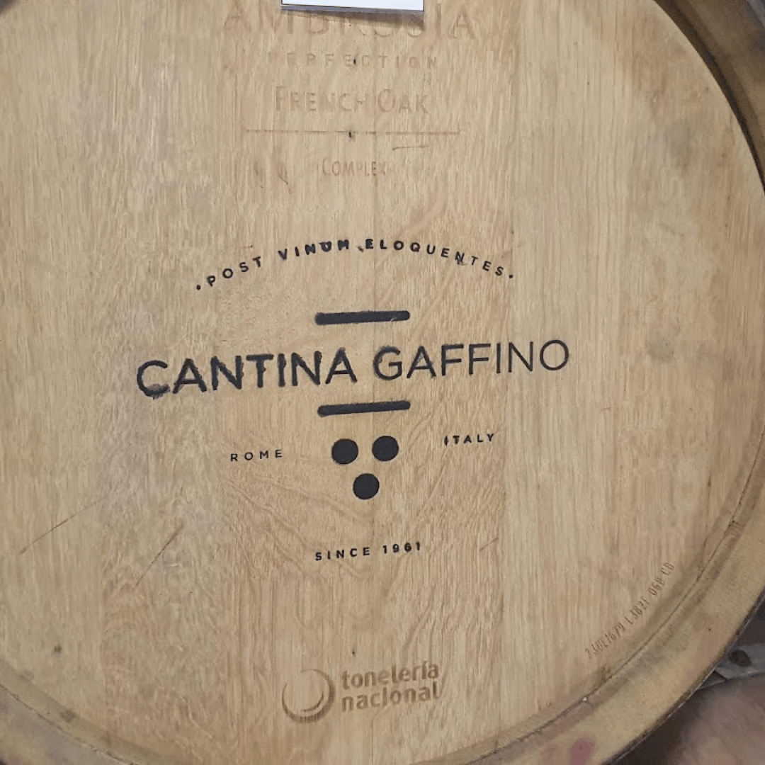 Boutique Winery Visit &amp; Tasting near Rome