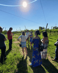 Vicenza: Vineyard Walk & Wine Tasting in the Berici Hills