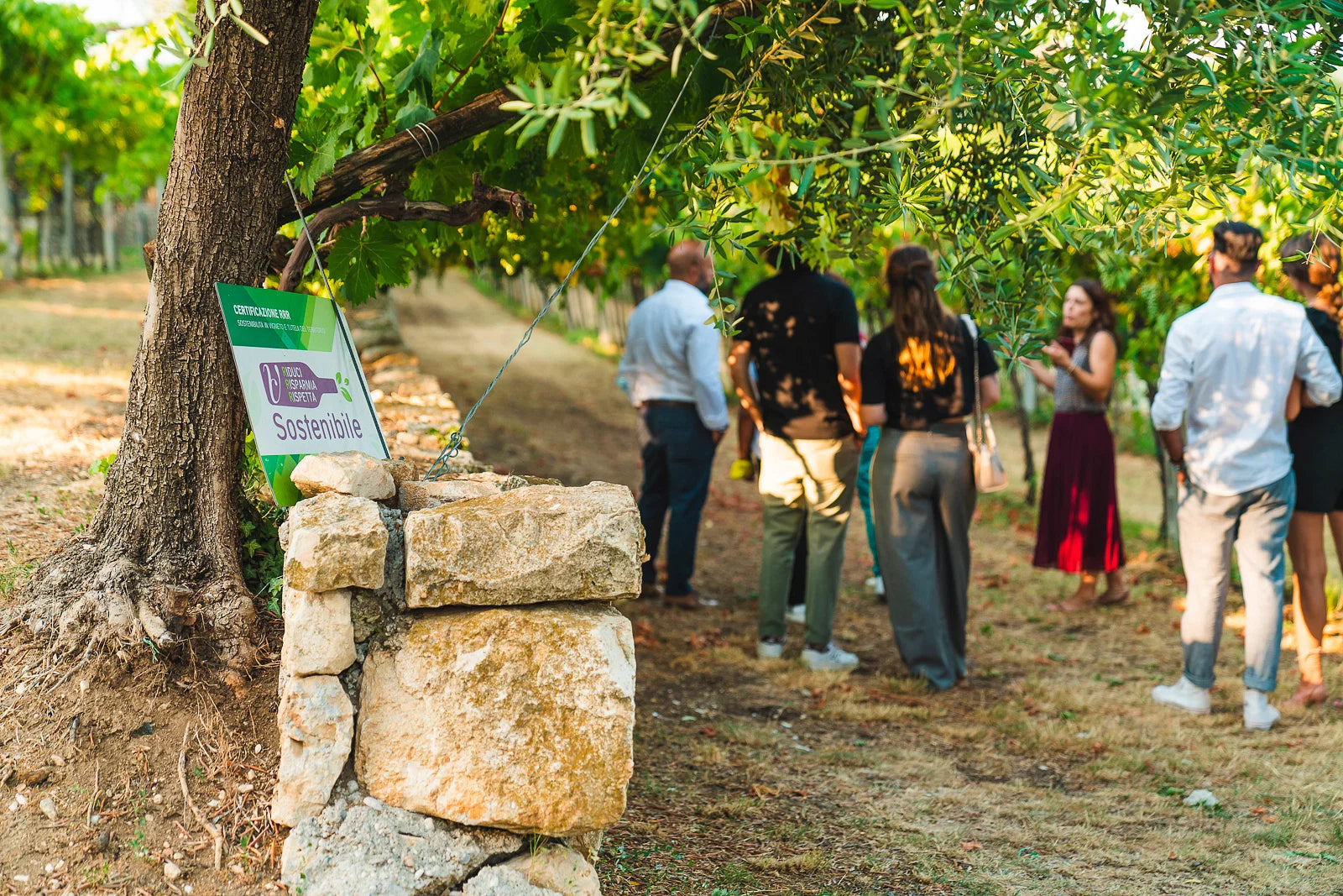 Guided Tour in a Venetian Villa with Valpolicella Wine Tasting