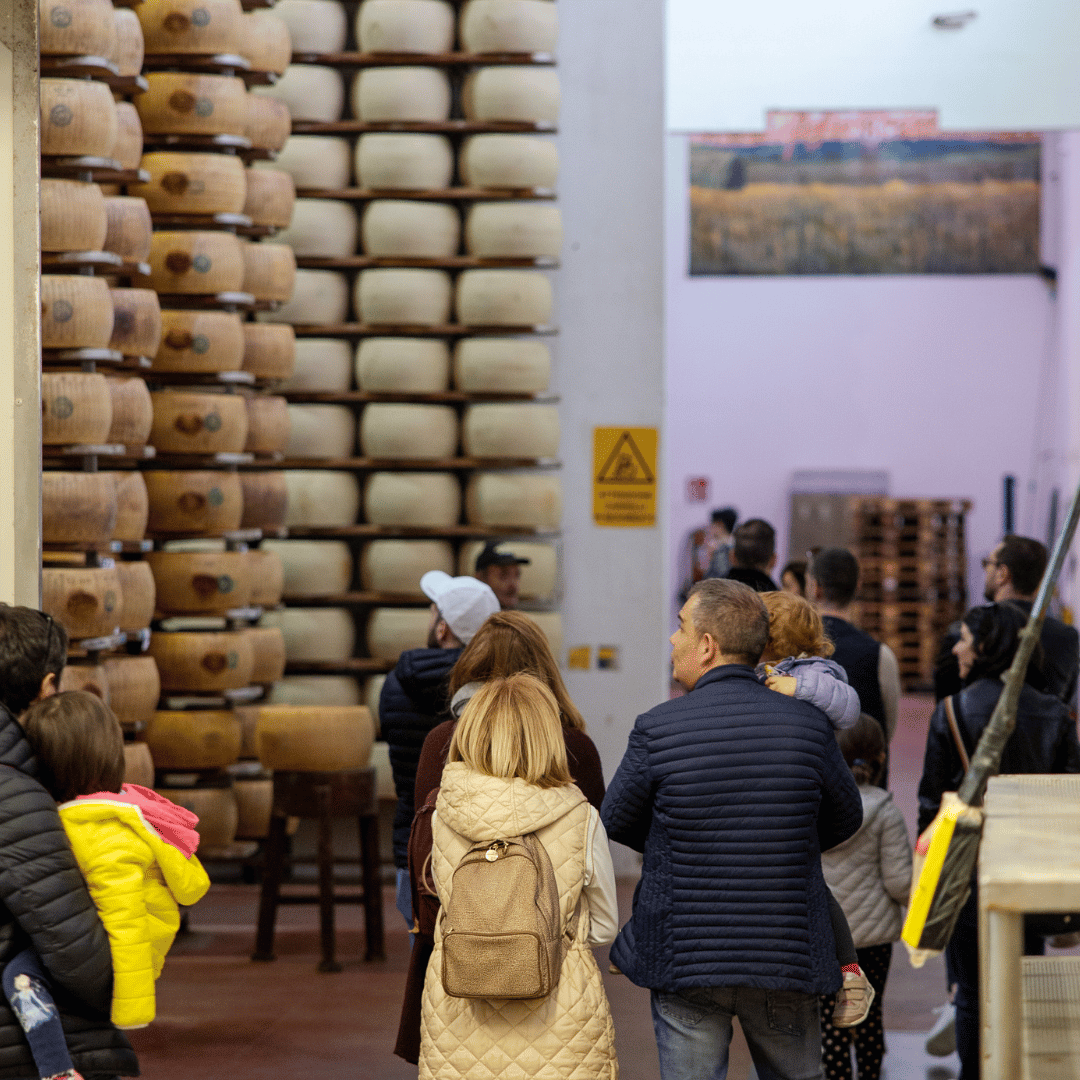 Parmesan Cheese Factory near Modena: Tasting & Tour