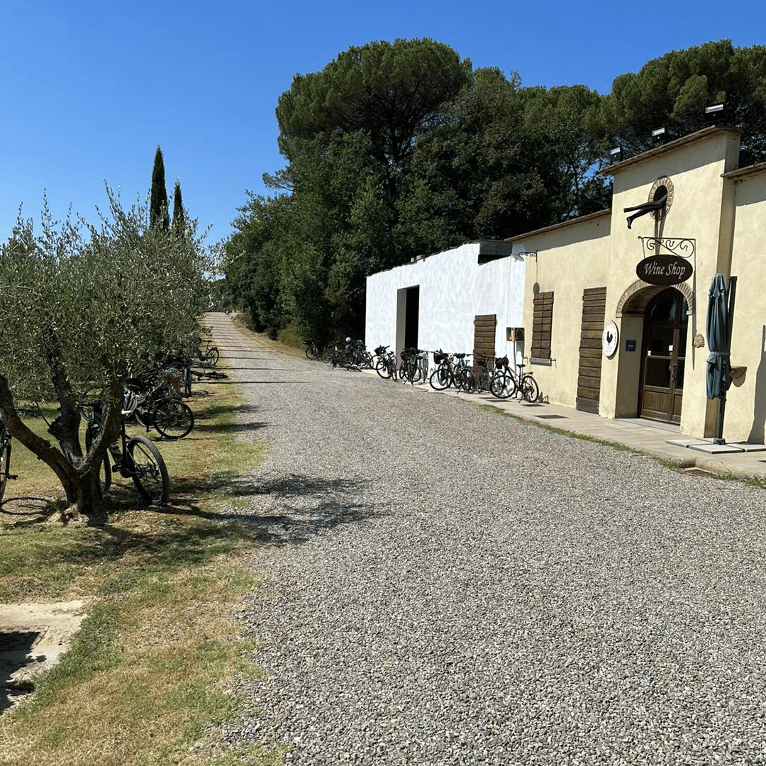 Arezzo: Boutique Winery Visit &amp; Wine Tasting