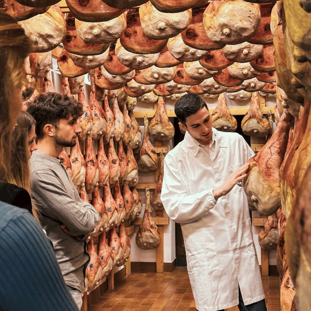 Prosciutto Crudo Ham Factory Visit near Udine & Tasting Lunch with Wine