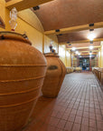 Winery Tour and Wine Tasting with Food near Livorno and Pisa