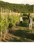 Boutique Winery Tour & Tasting in North Tuscany