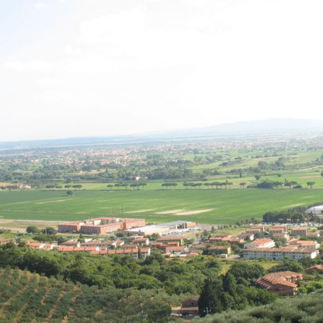 Olive Mill Tour with Oil and Food Tastings near Pisa