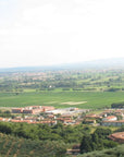 Olive Mill Tour with Oil and Food Tastings near Pisa