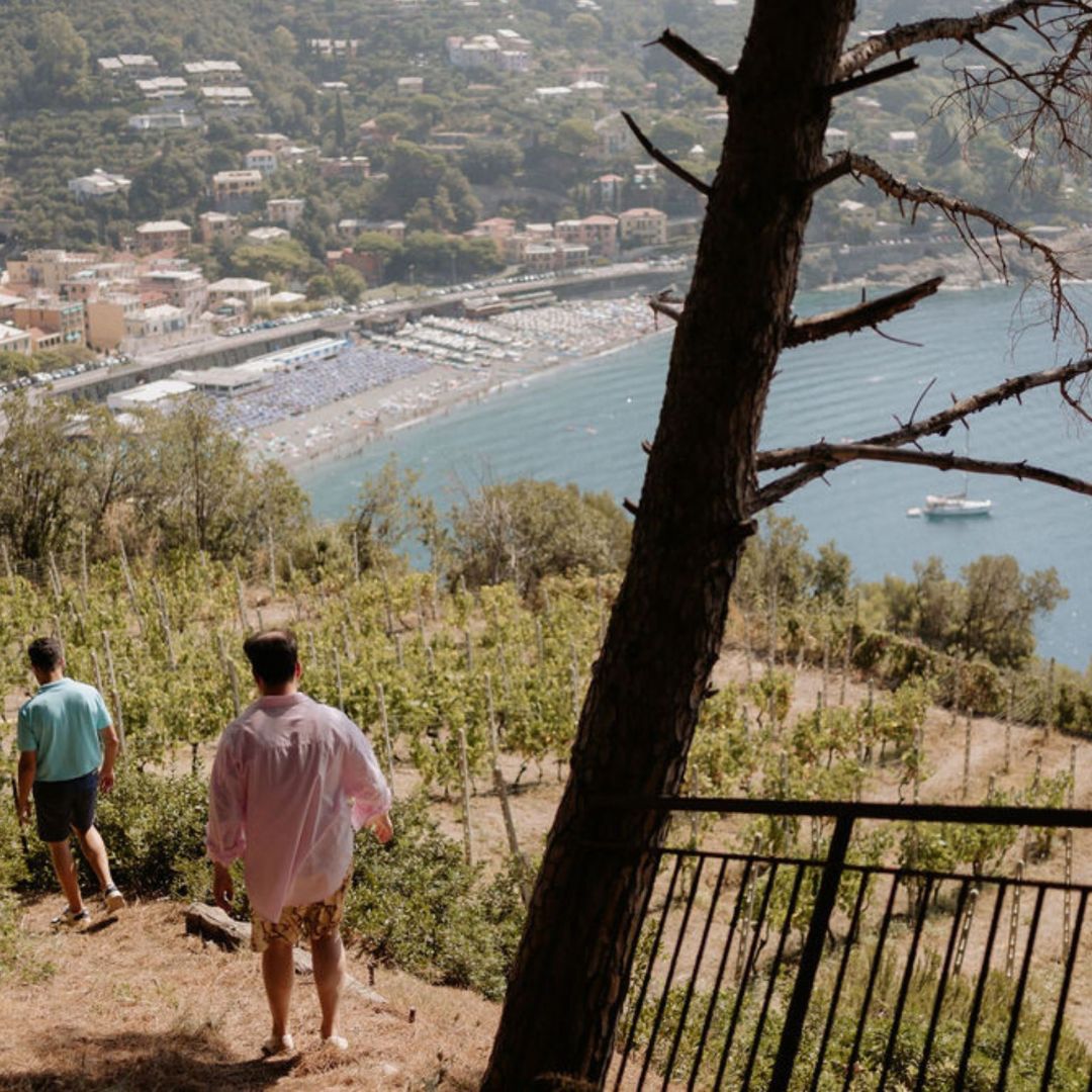 Boutique Winery Visit with Food &amp; Wine Tastings in Cinque Terre