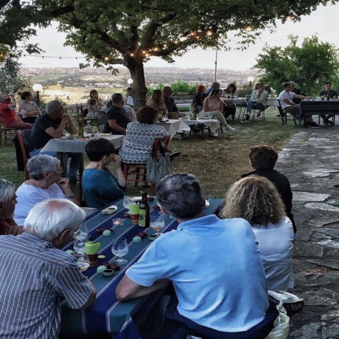 Olive Mill Tour with Oil and Food Tastings near Pisa