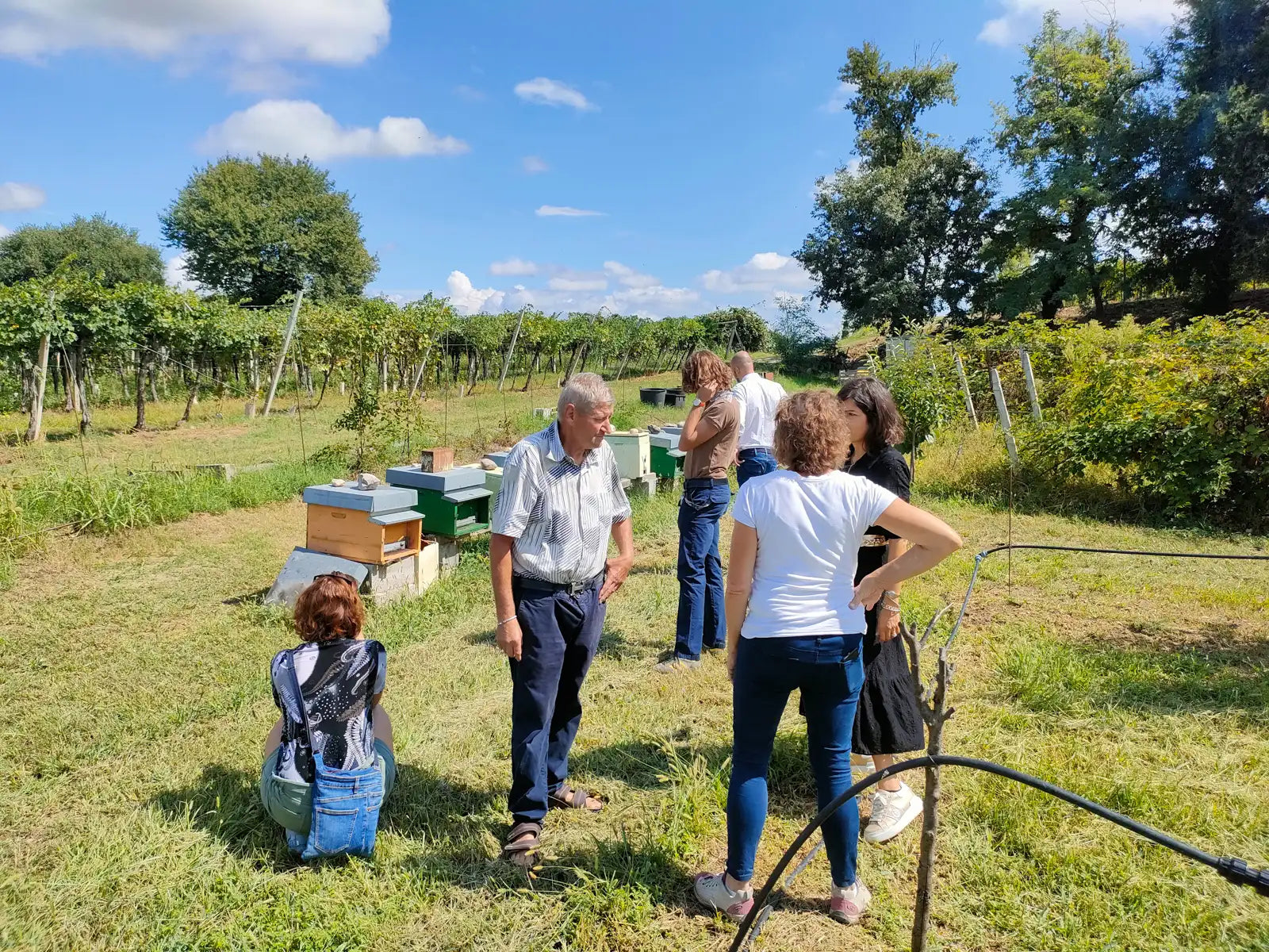 Beekeeping Farm Tour and Tasting Experience