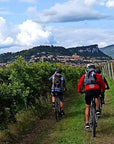 E-Bike Tour and Wine Tasting from Bardolino