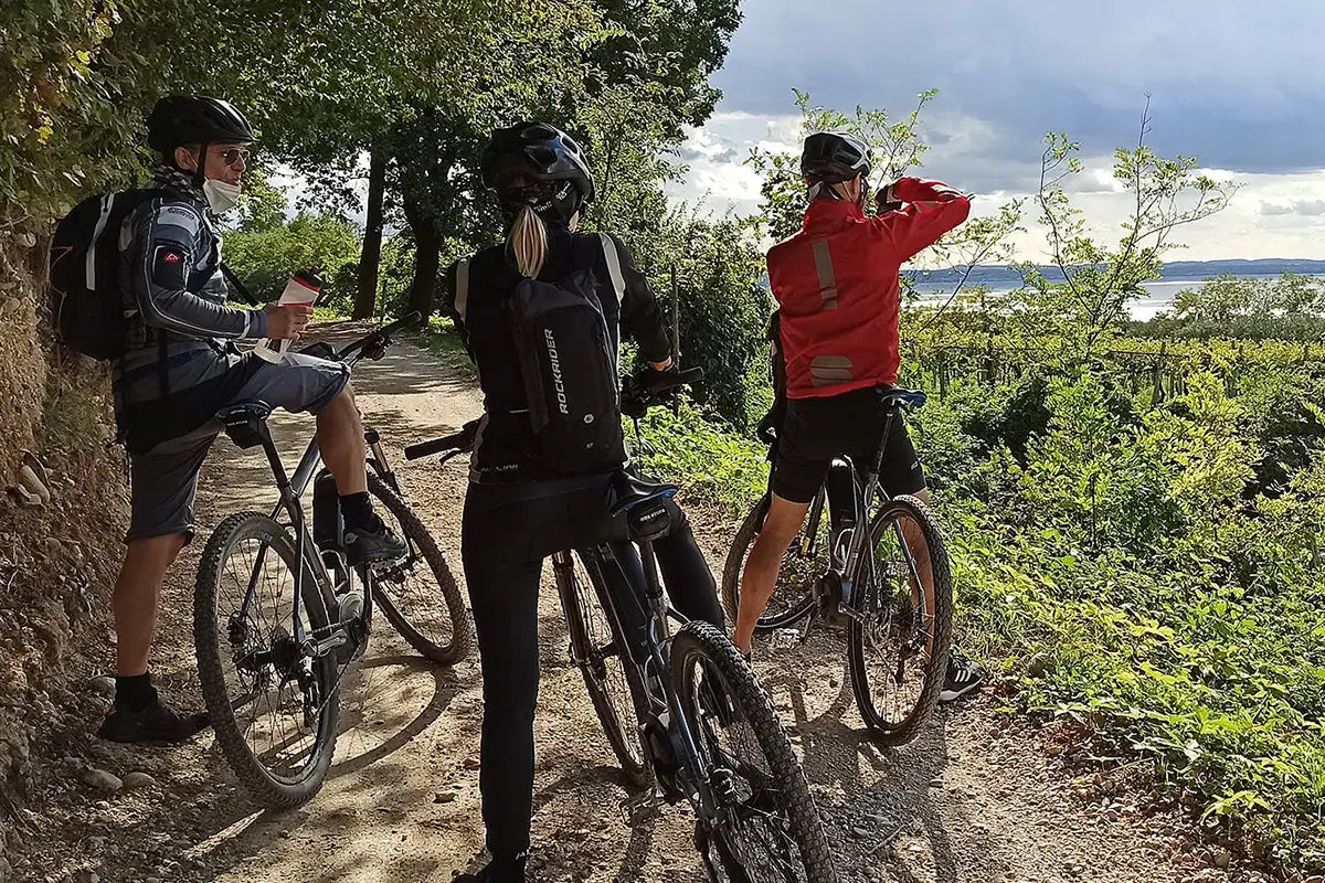 E-Bike Tour and Wine Tasting from Bardolino