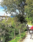 E-Bike Tour and Wine Tasting from Bardolino