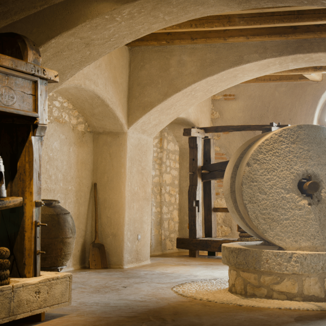 Olive Mill Tour and Tasting in the Verona Countryside