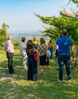 Fumane: tasting of 3 wines on Valpolicella Hills