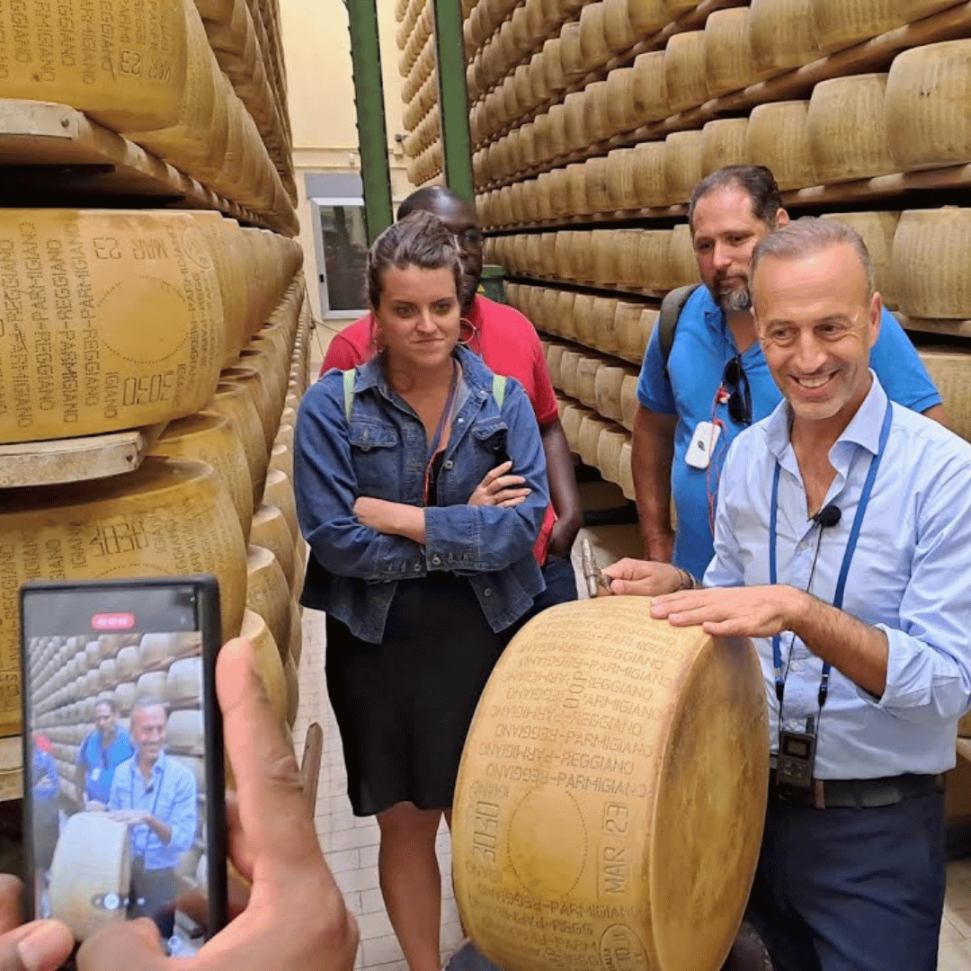 Parmesan Cheese Factory Tour &amp; Tasting near Parma