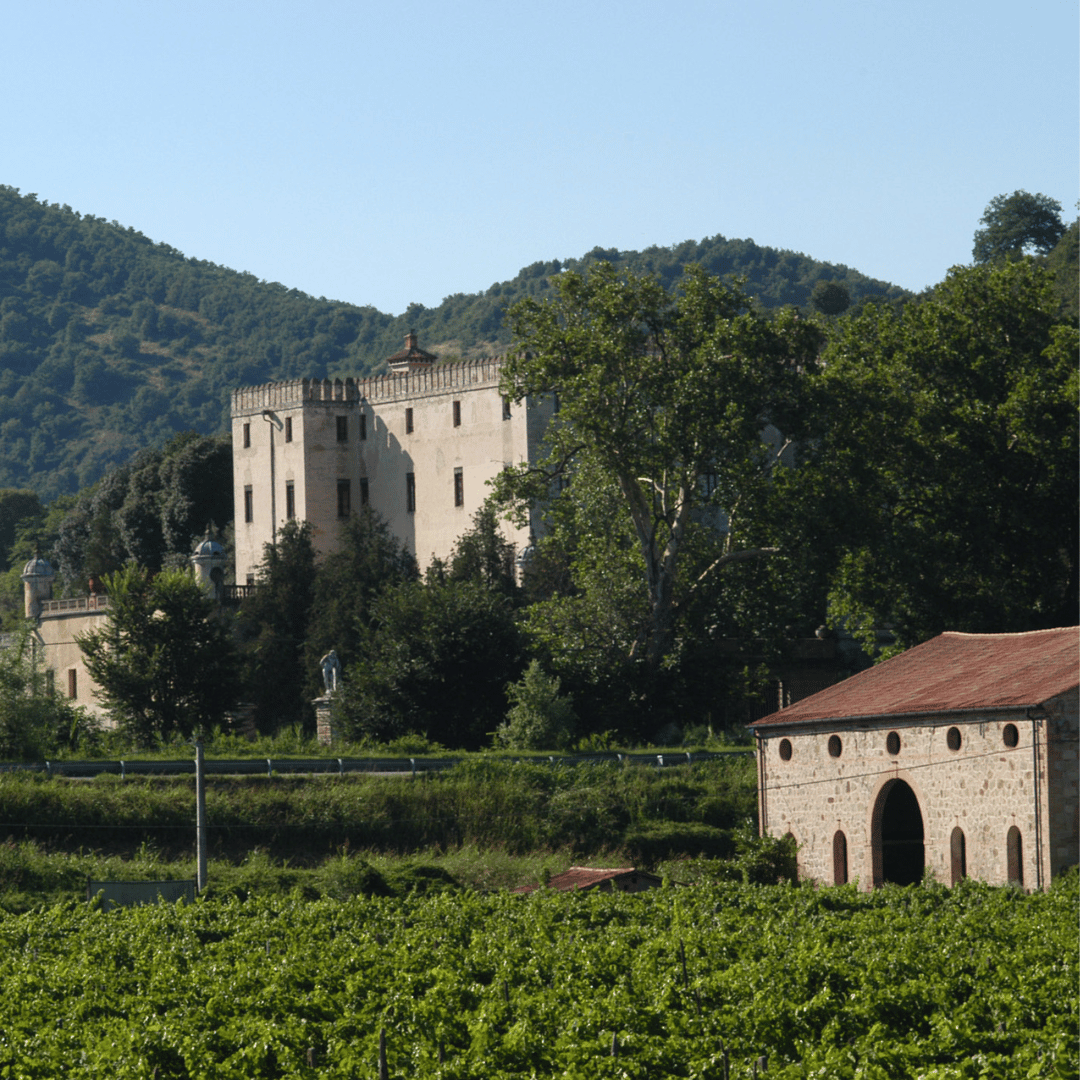 Winery Tour &amp; Tasting on Padova Hills