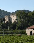 Winery Tour & Tasting on Padova Hills