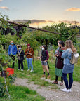 Wine tasting in Valpolicella Classica: the cradle of Amarone