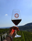 Wine tasting in Valpolicella Classica: the cradle of Amarone