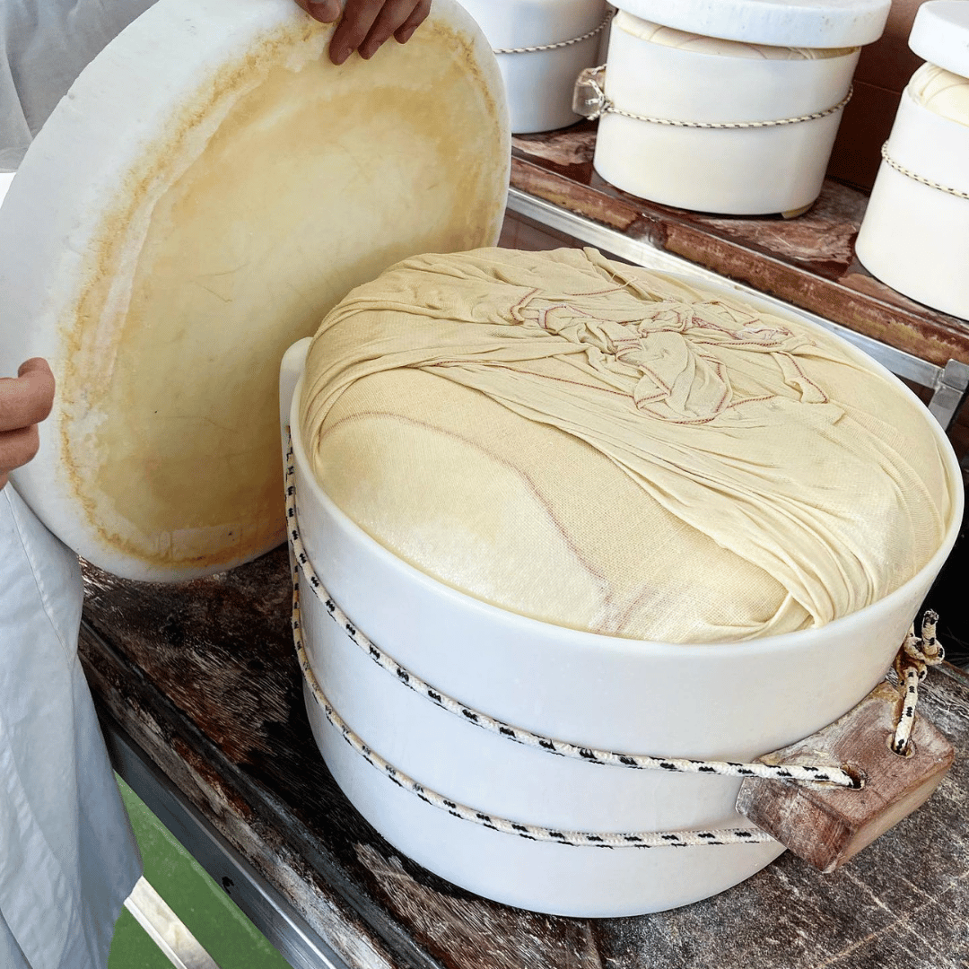 Modena: Parmesan Cheese Tour &amp; Tasting