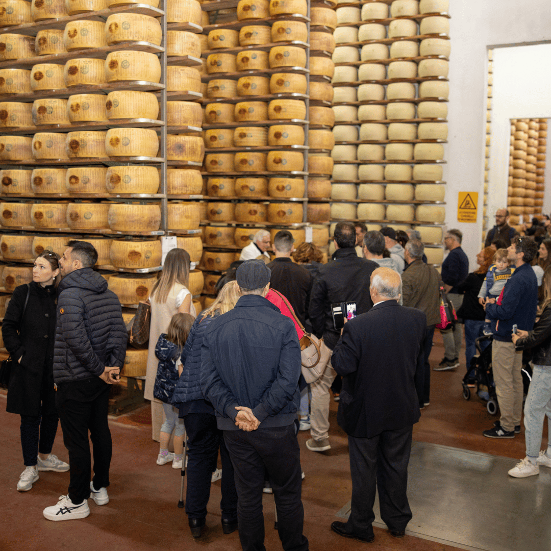 Parmesan Cheese Factory near Modena: Tasting & Tour