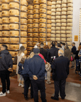 Parmesan Cheese Factory near Modena: Tasting & Tour