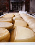 Parmesan Wheels near Parma: Tasting & Factory Tour