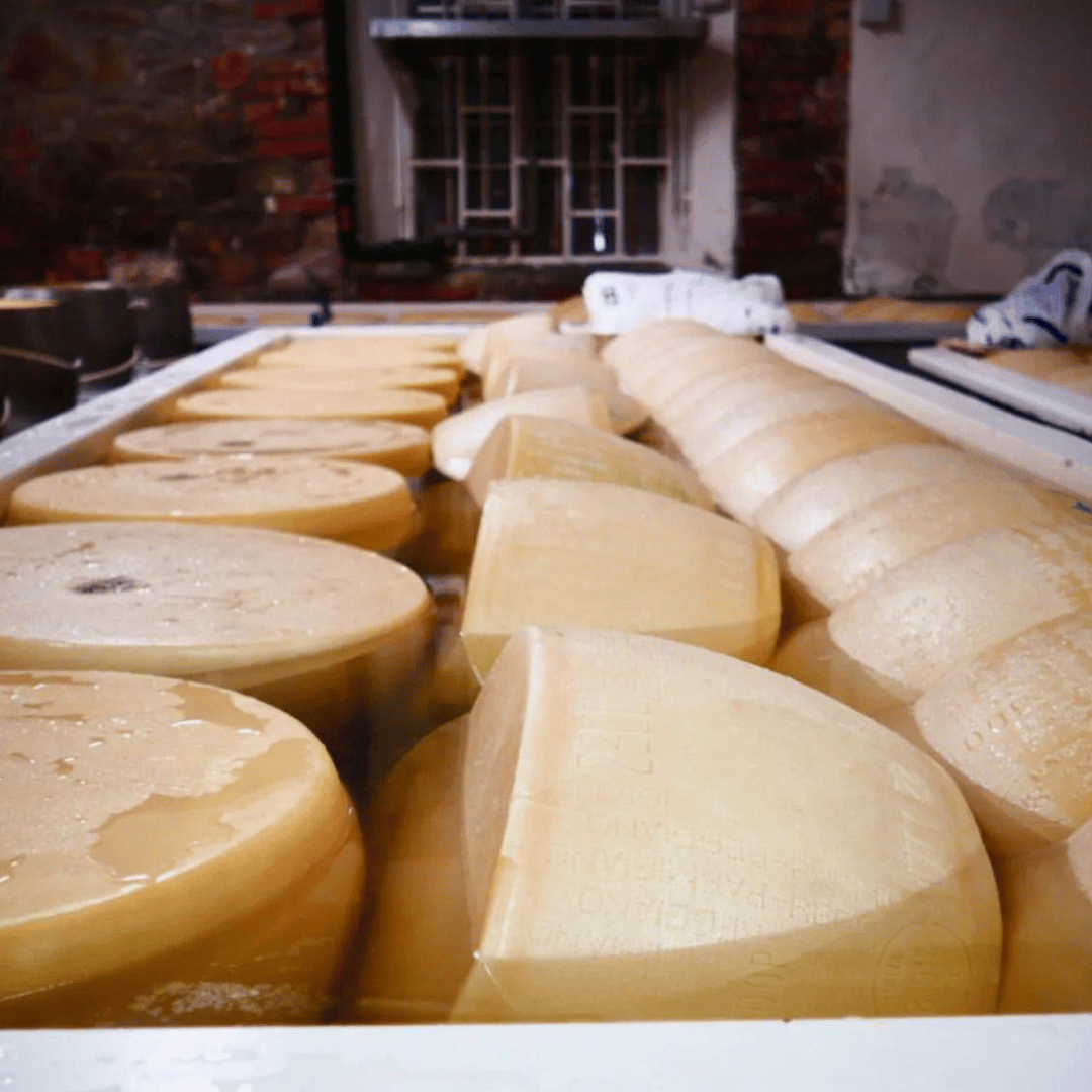 Parmesan Wheels near Parma: Tasting &amp; Factory Tour