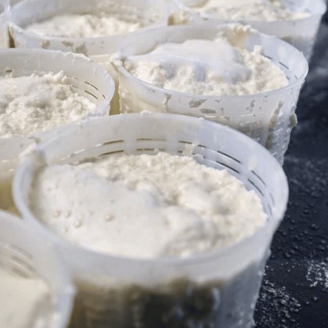 Parmesan Wheels near Parma: Tasting &amp; Factory Tour