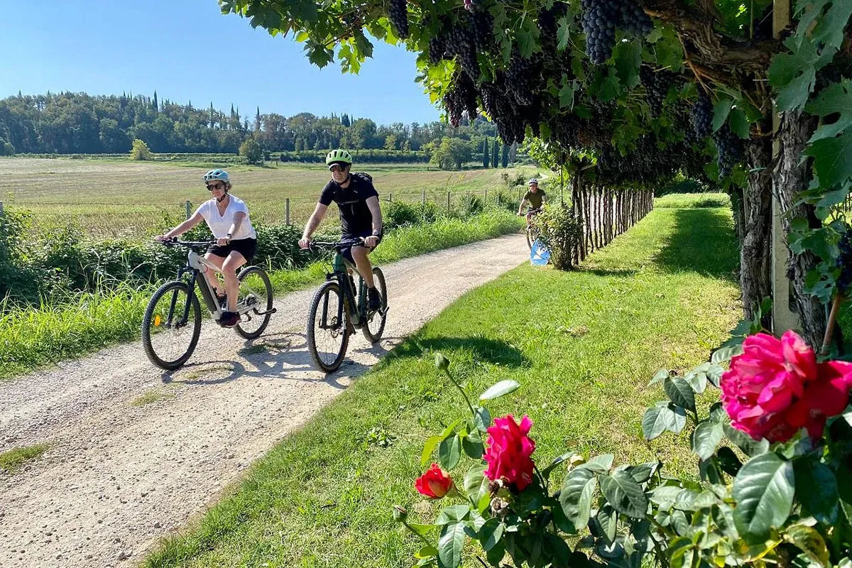 E-bike tour of the Austrian Fort with wine tasting from Pastrengo