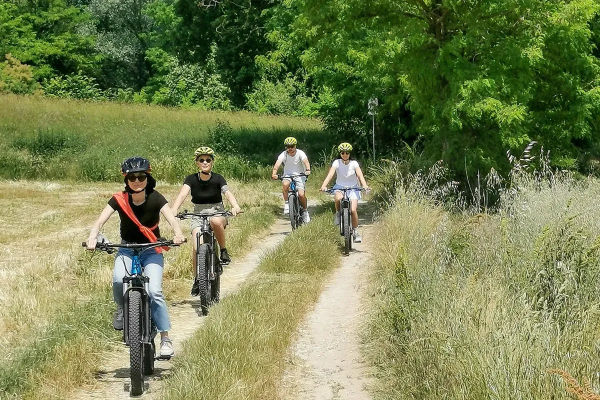 E-Bike tour from Desenzano with Wine Tasting