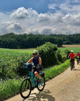 E-Bike tour with wine tasting from Polpenazze