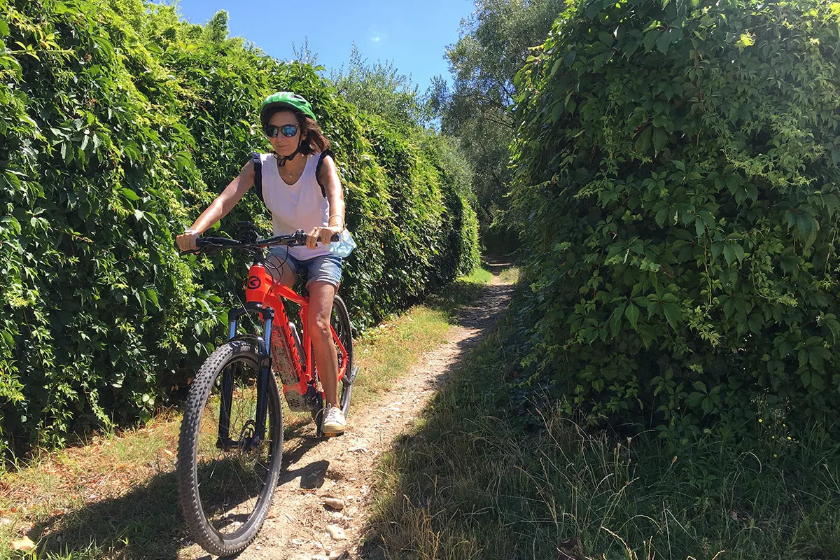 E-Bike tour with wine tasting from Polpenazze