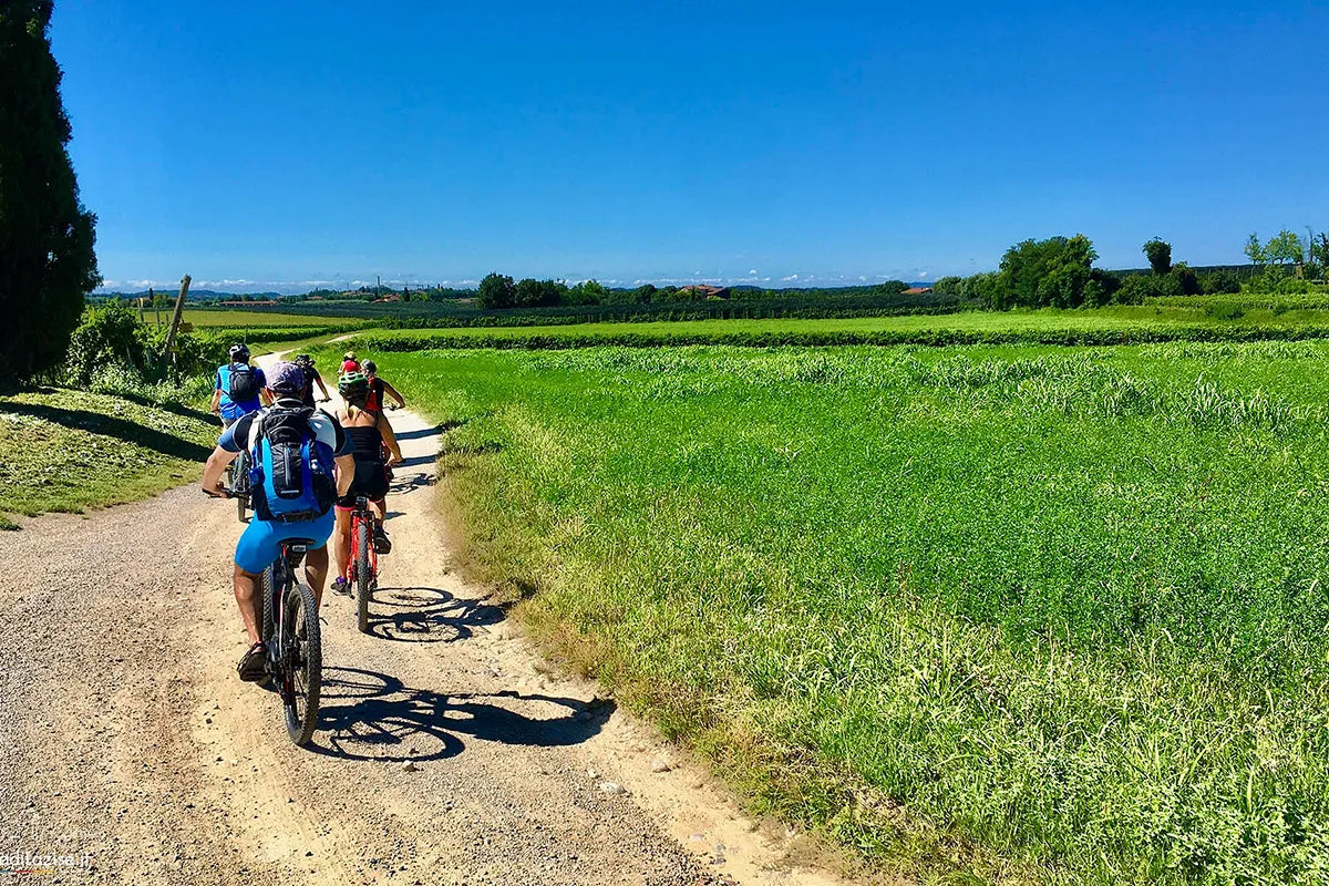 E-Bike tour with wine tasting from Polpenazze