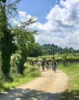 E-Bike tour with wine tasting from Polpenazze