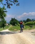 E-Bike tour with Wine tasting from Salò