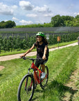 E-Bike tour with Wine tasting from Salò