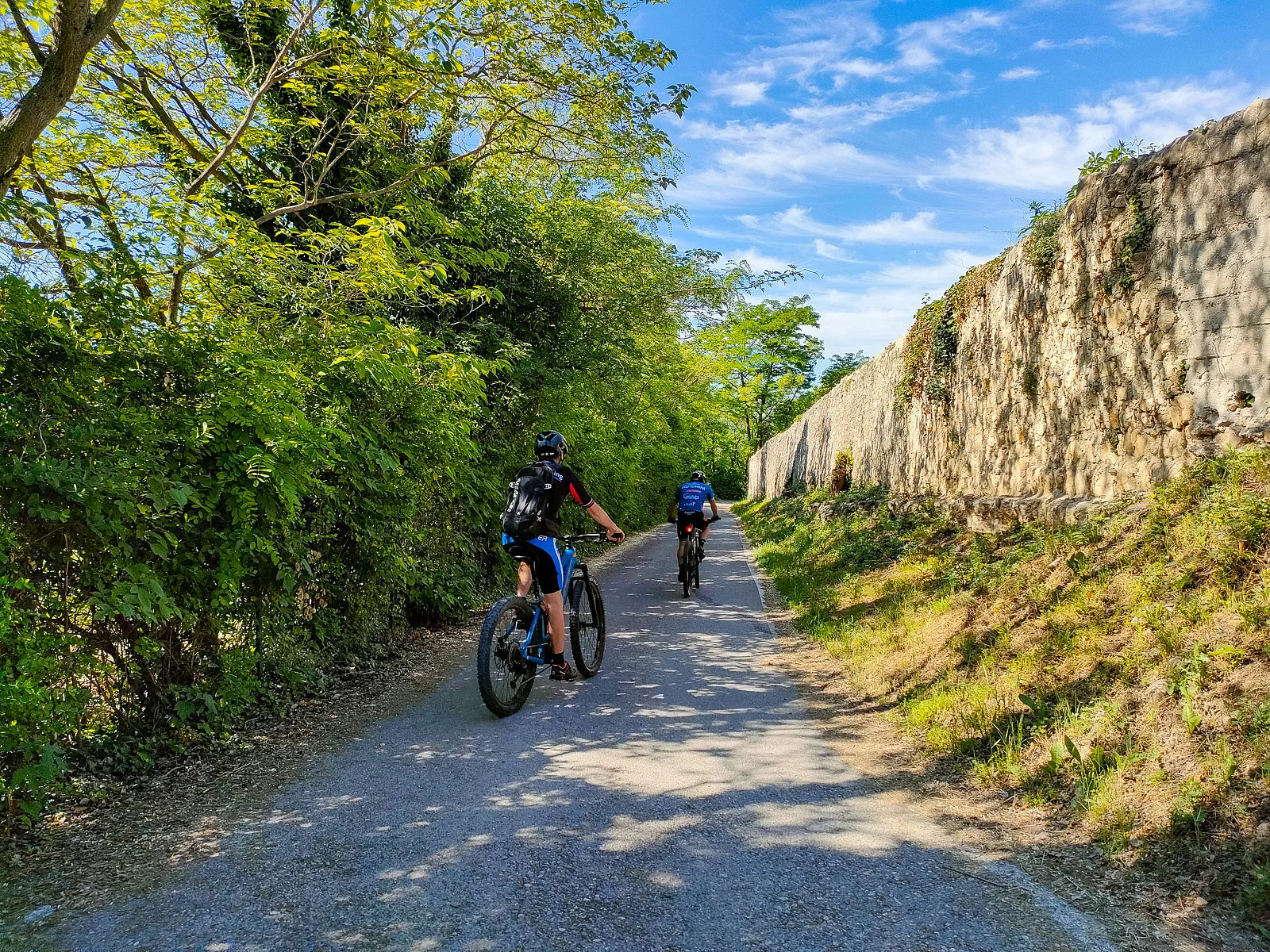 E-Bike tour with wine tasting on Valpolicella Hills