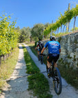 E-Bike tour with wine tasting on Valpolicella Hills