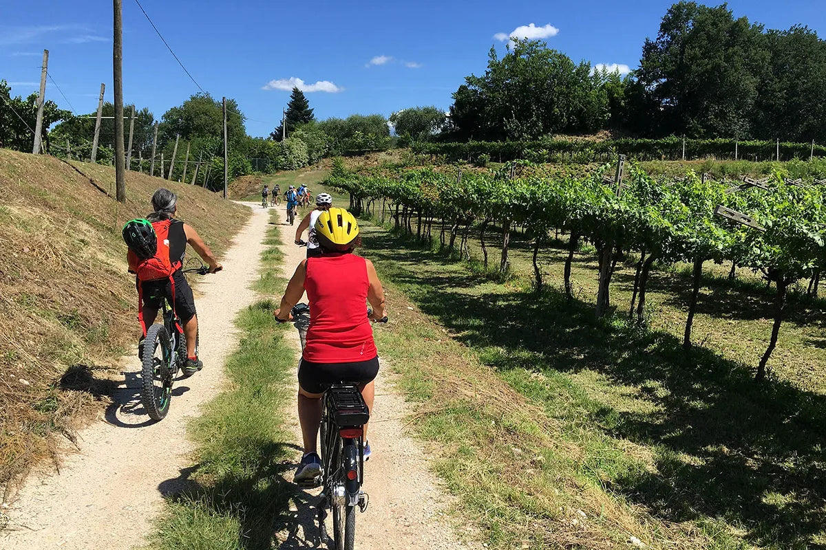 E-Bike tour and wine tasting in Lazise