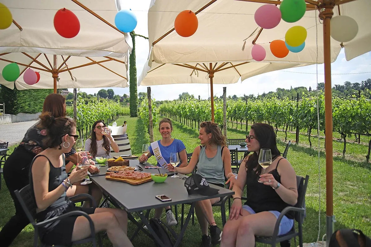 E-Bike tour and wine tasting in Lazise