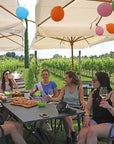 E-Bike tour and wine tasting in Lazise