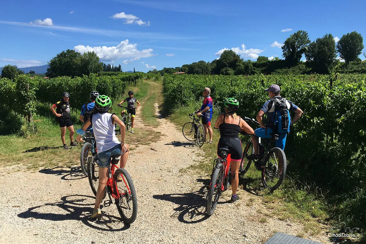 E-Bike Tour and wine tasting in Lazise Countryside