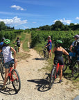 E-Bike Tour and wine tasting in Lazise Countryside