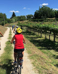 E-Bike Tour and wine tasting in Lazise Countryside